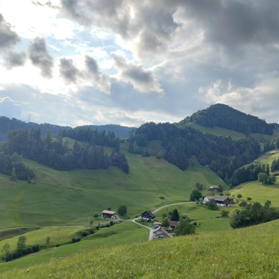 Dom Wiejski Artur Goldingen エクステリア 写真