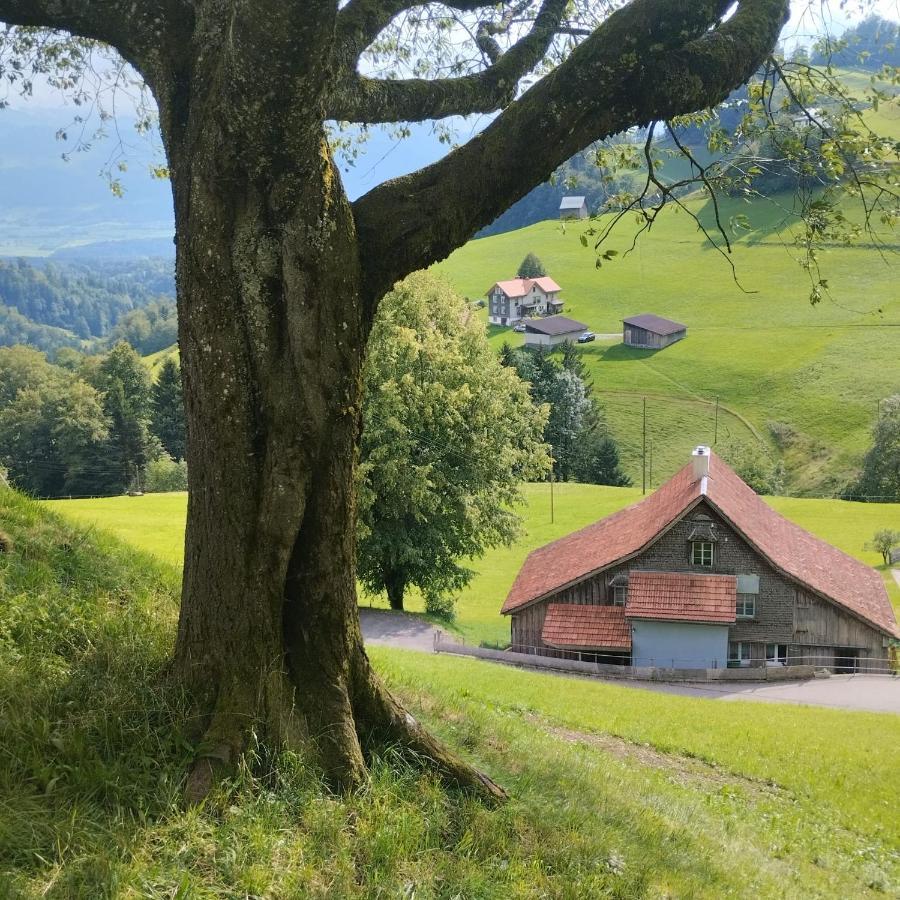 Dom Wiejski Artur Goldingen エクステリア 写真