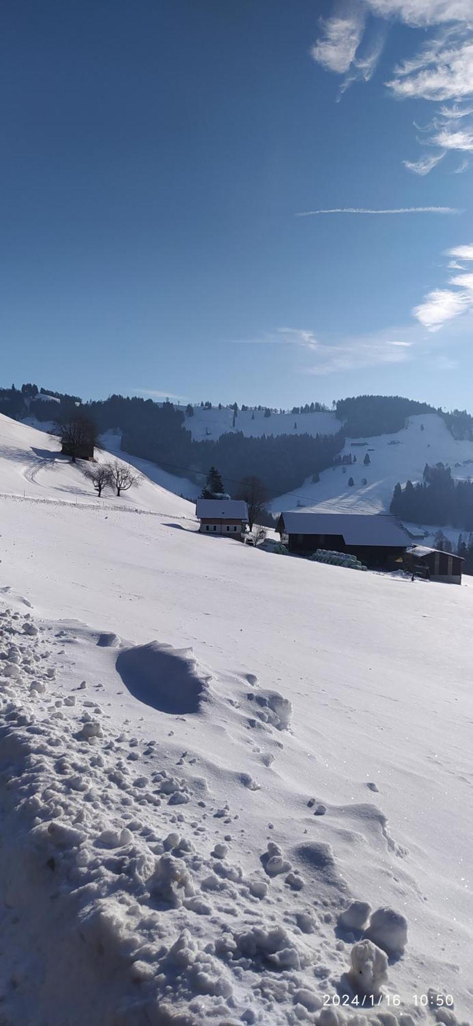 Dom Wiejski Artur Goldingen エクステリア 写真