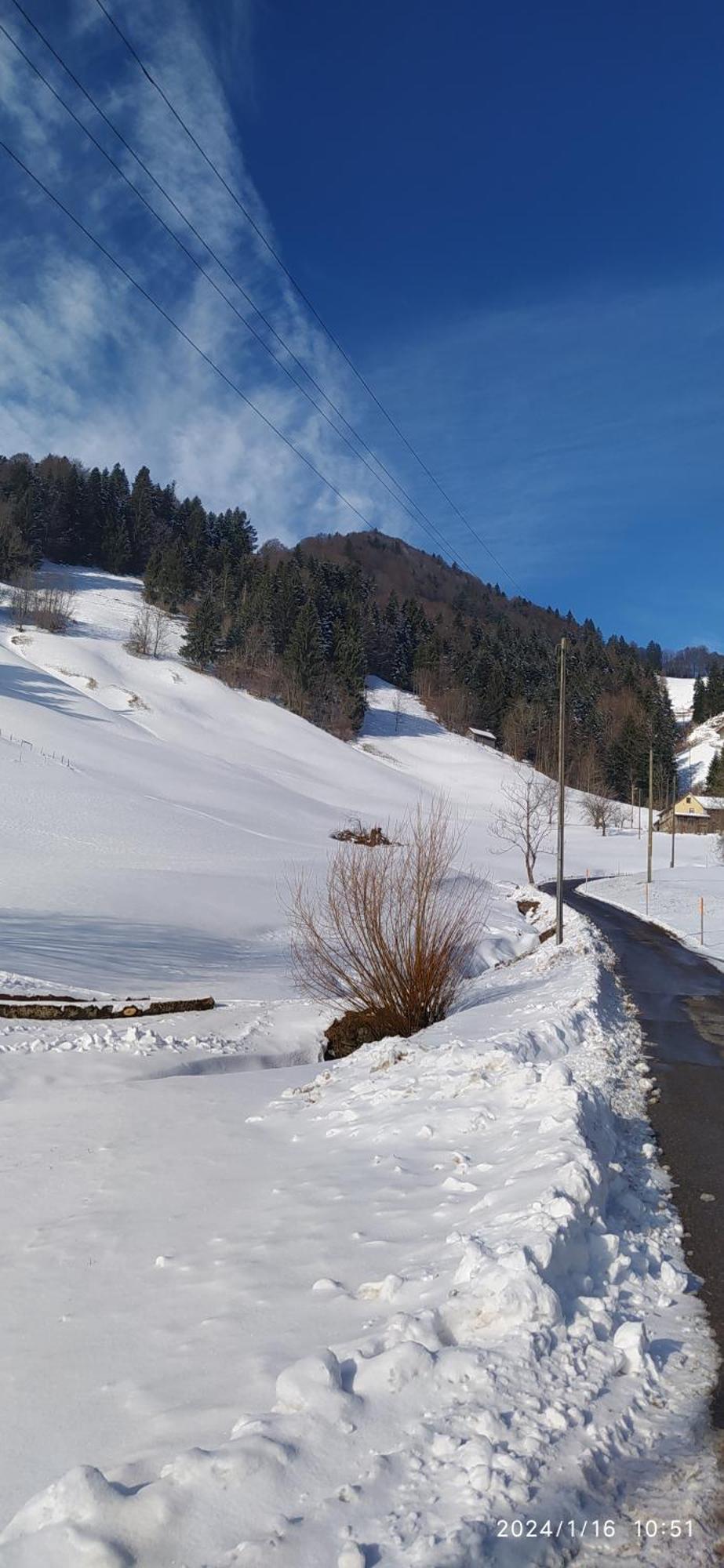 Dom Wiejski Artur Goldingen エクステリア 写真